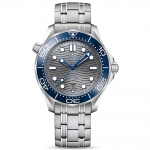 Omega Men Seamaster Diver 300M Co-Axial Master Chronometer 42 mm-Grey