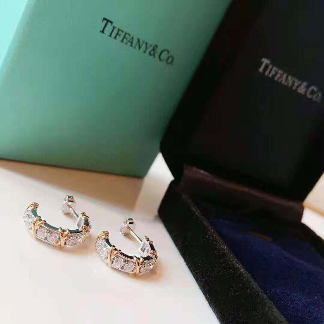 Tiffany Schlumberger Twenty Stone Hoop Earrings in Gold with Diamonds (2)