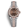 Rolex Lady-Datejust Classic Watches Oyster 28 mm in Oystersteel and Everose Gold-Brown