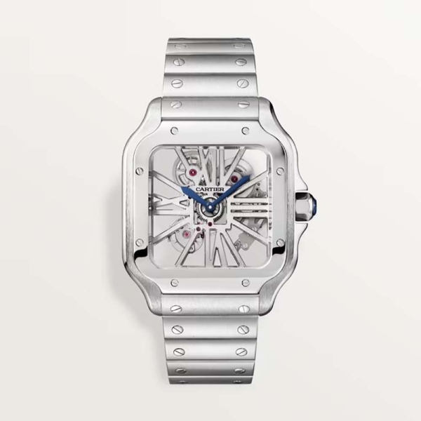 Cartier Men Santos Skeleton Watch 39.8 mm Manual Winding in Steel Case (1)