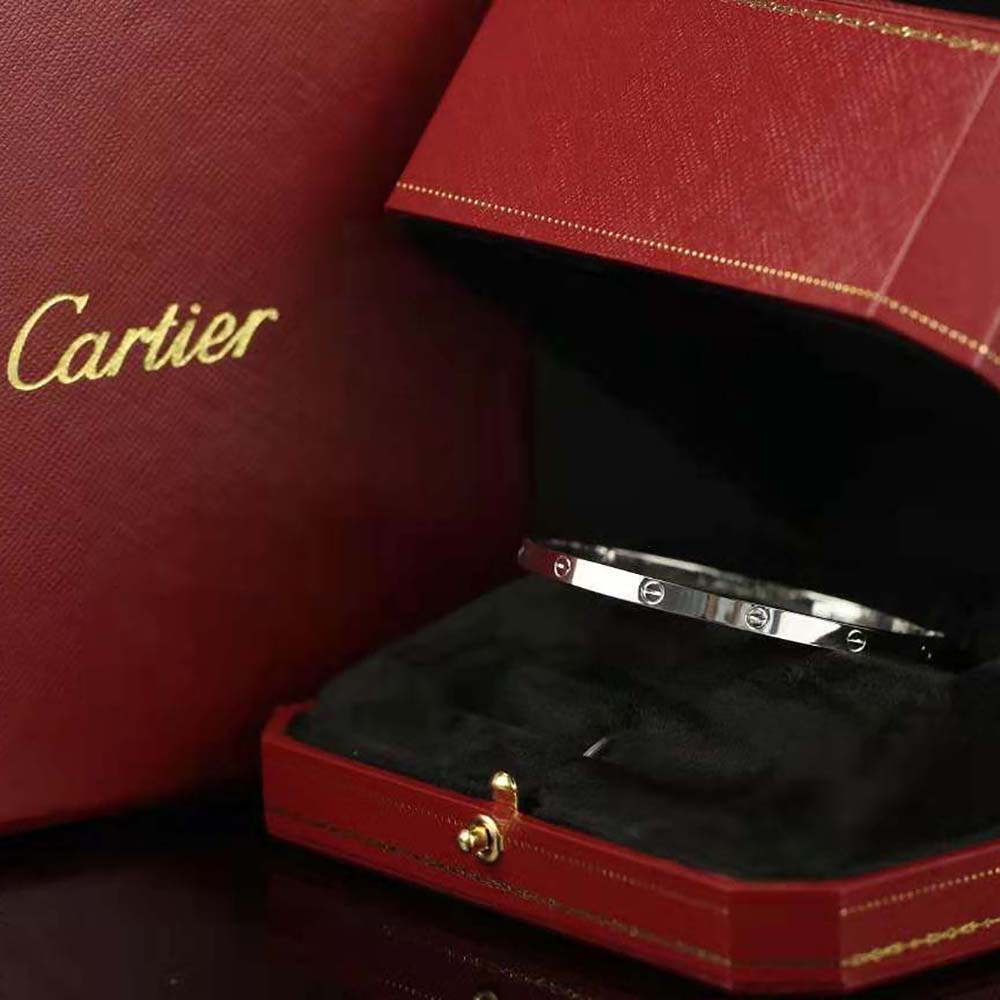 Cartier Women Love Necklace Small Model in White Gold (2)
