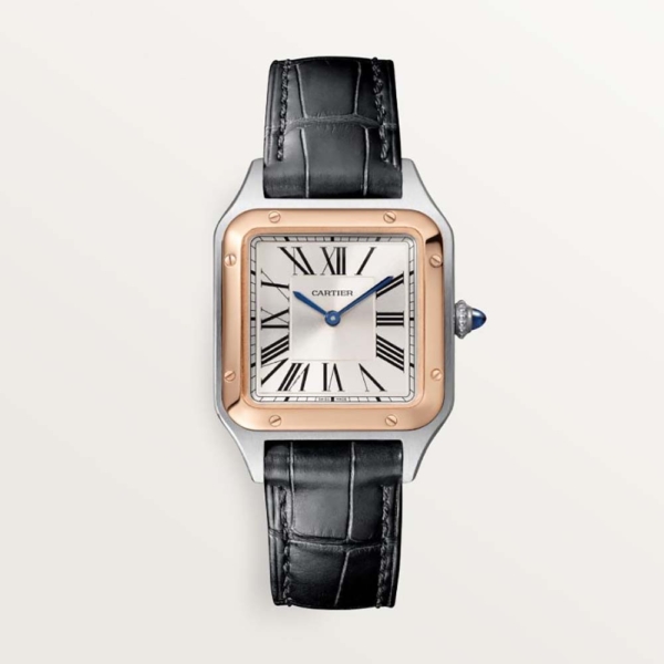 Cartier Women Santos-Dumont Watch Quartz Movement in Steel-Black (1)