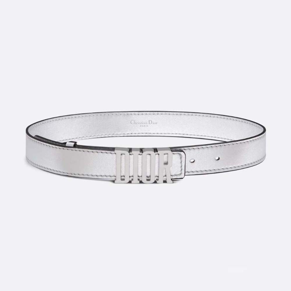 Dior Women D-Fence Belt Silver-Tone Laminated Crinkled Calfskin 30 MM (1)