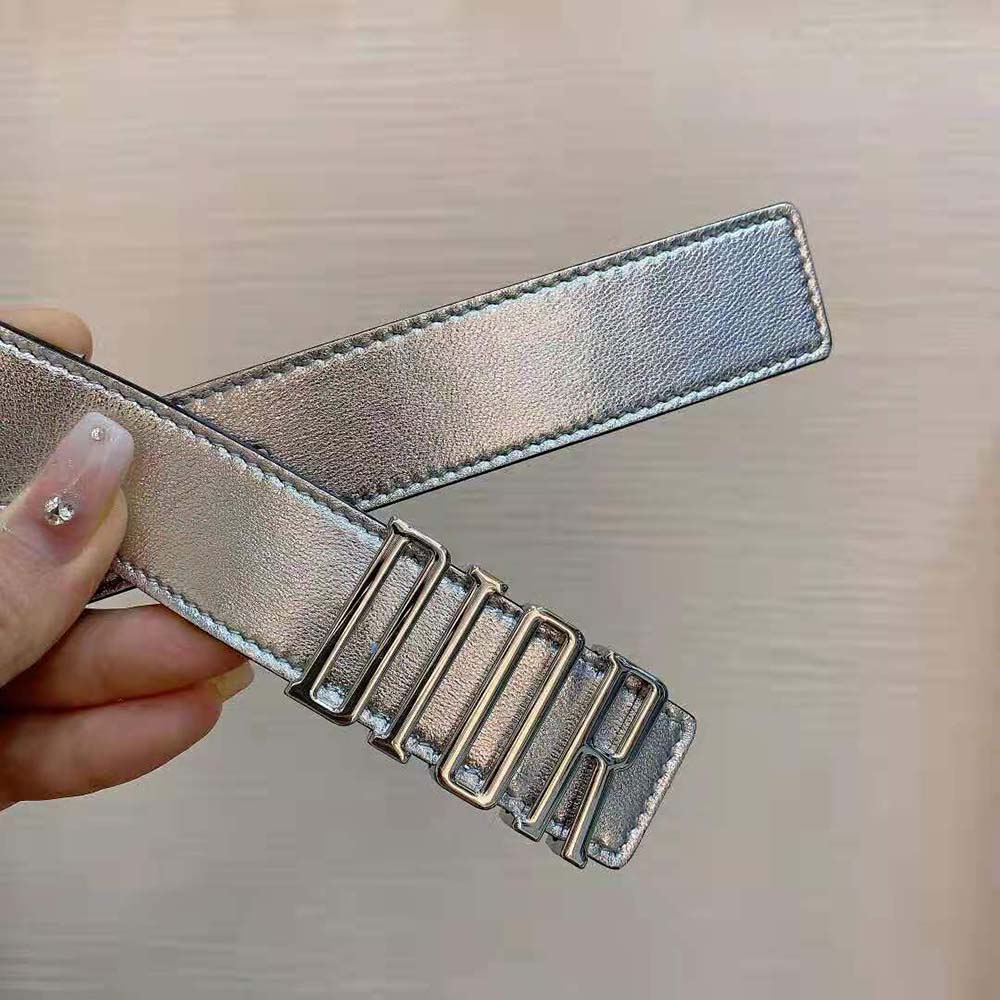 Dior Women D-Fence Belt Silver-Tone Laminated Crinkled Calfskin 30 MM (5)