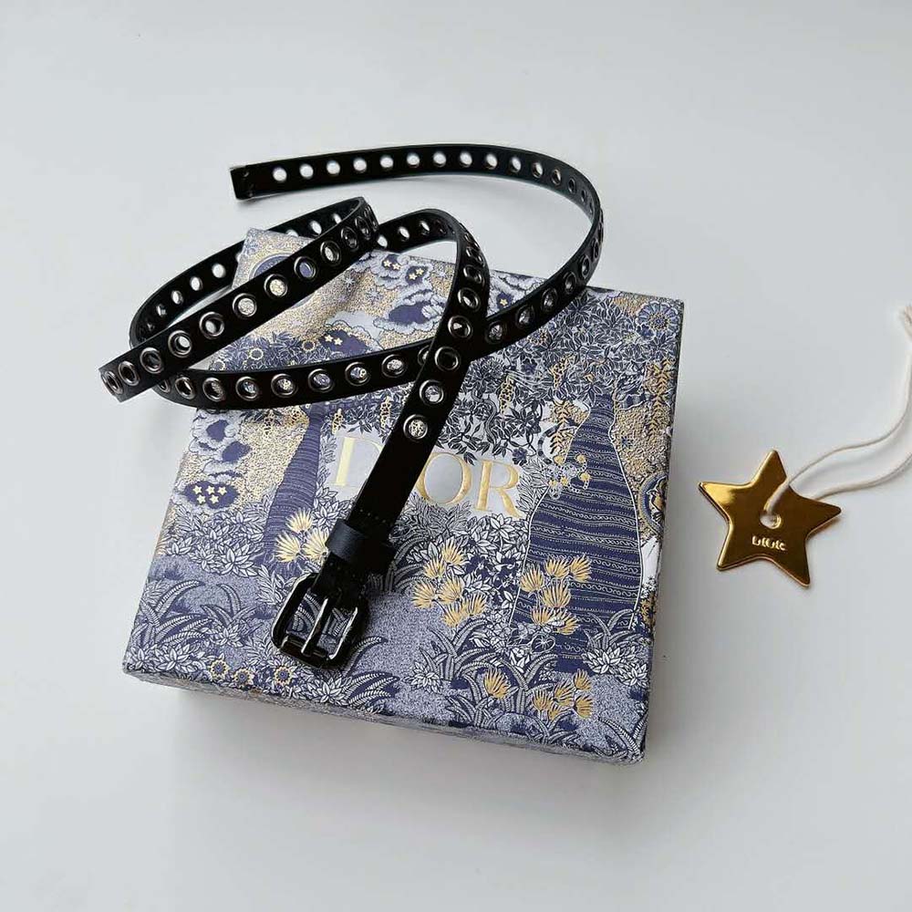 Dior Women Diorevolt Belt Black Smooth Calfskin with Ruthenium-Finish Metal Eyelets (9)