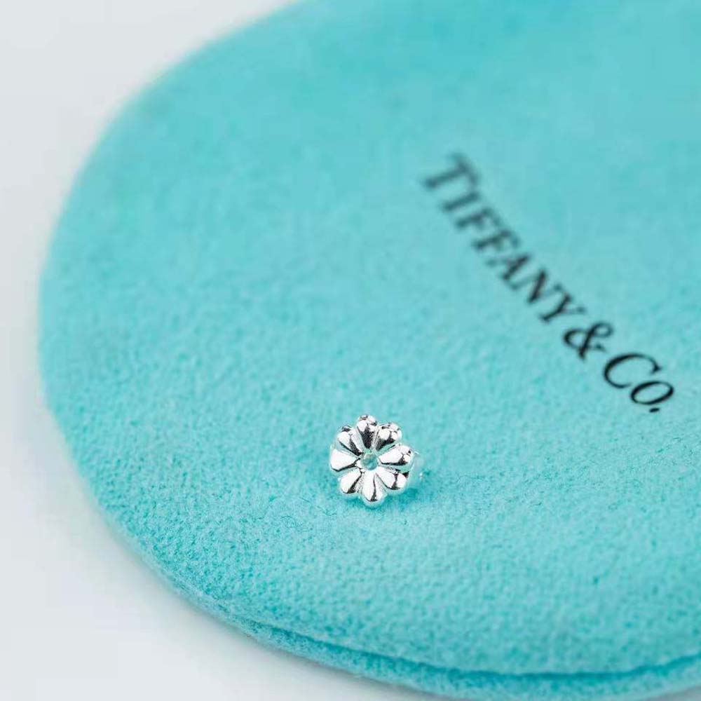 Tiffany 1837® Circle Earrings in Sterling Silver (6)