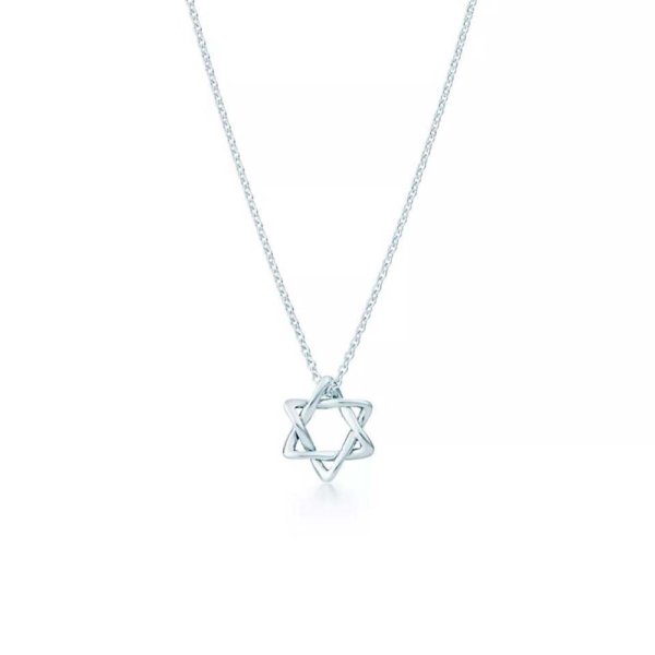 Tiffany Elsa Peretti® Star of David Pendant in Sterling Silver (1)
