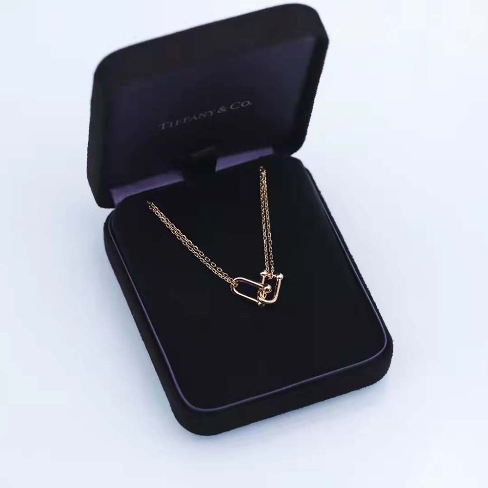 Tiffany HardWear Double Link Pendant in 18k Gold (7)