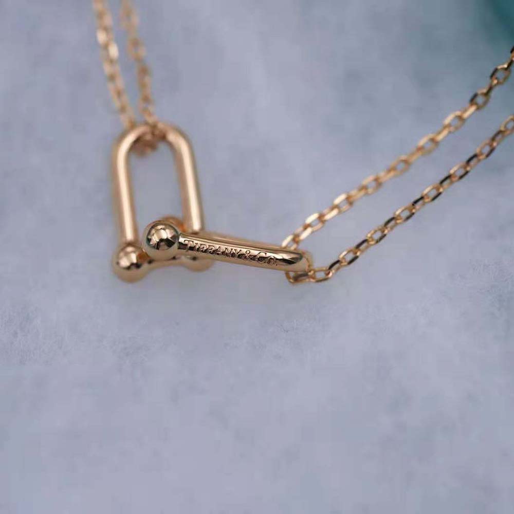 Tiffany HardWear Double Link Pendant in 18k Gold (8)