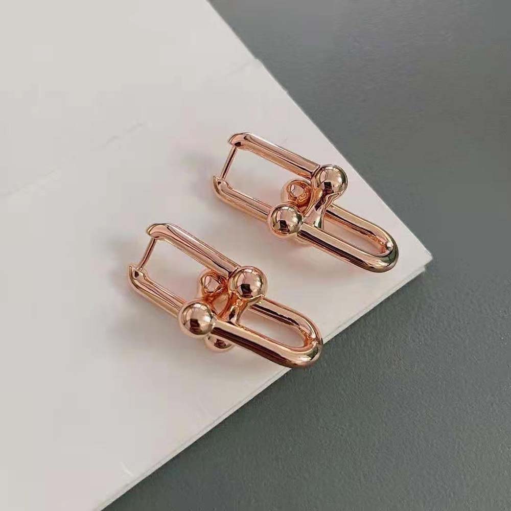 Tiffany HardWear Large Link Earrings in Rose Silver (2)