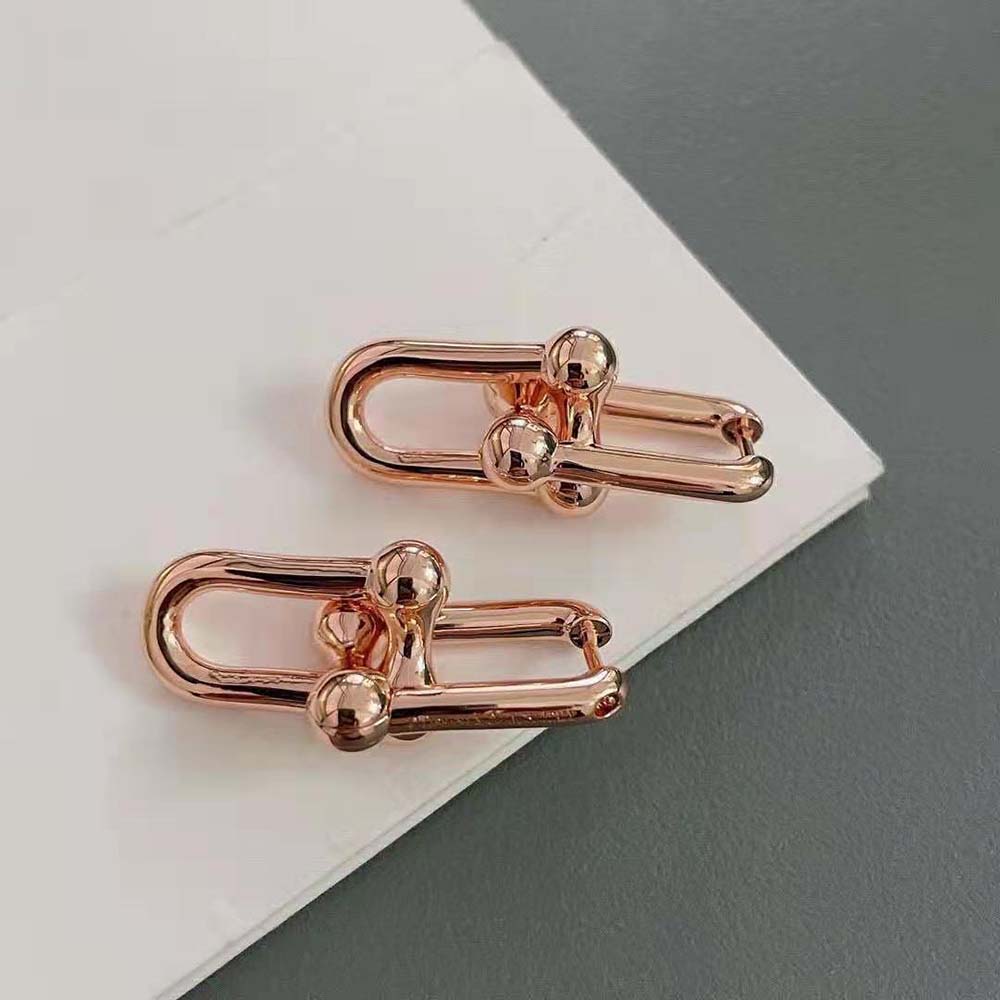 Tiffany HardWear Large Link Earrings in Rose Silver (3)