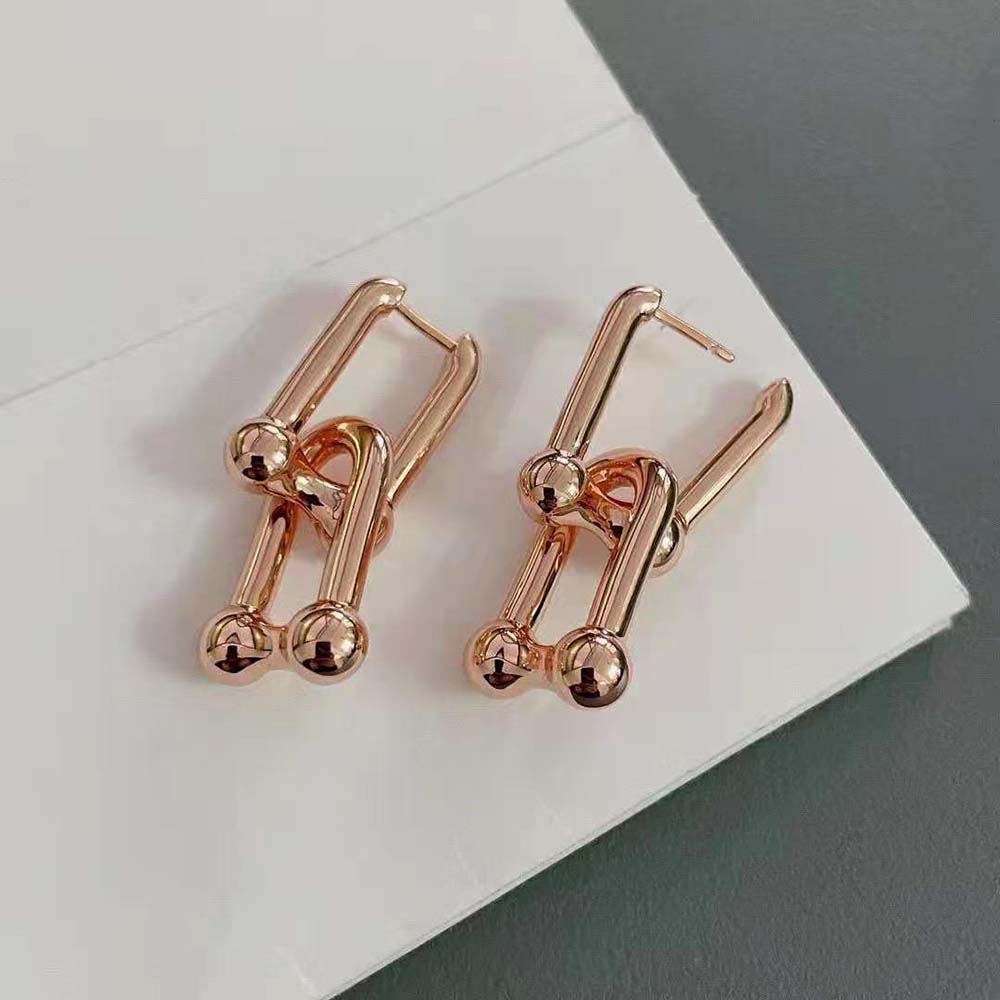 Tiffany HardWear Large Link Earrings in Rose Silver (4)