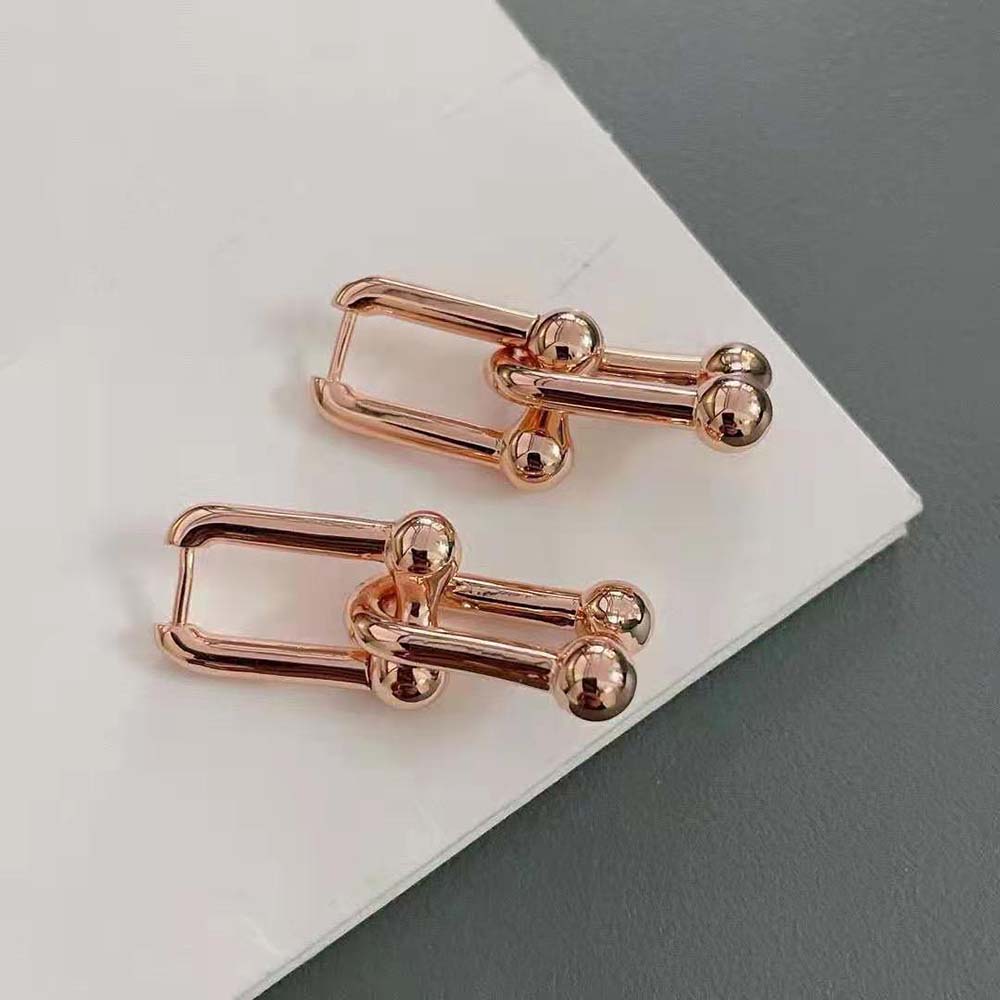 Tiffany HardWear Large Link Earrings in Rose Silver (5)