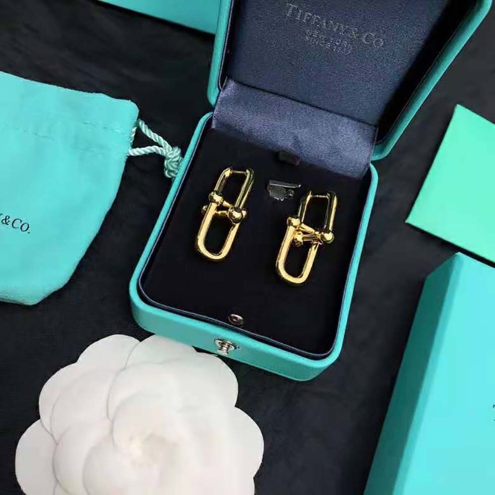 Tiffany HardWear Large Link Earrings in Yellow Gold (3)