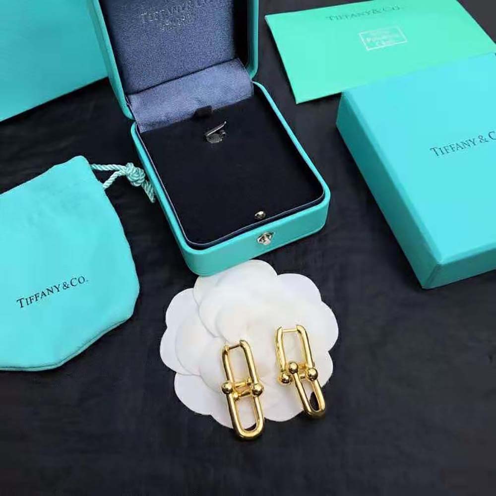 Tiffany HardWear Large Link Earrings in Yellow Gold (8)