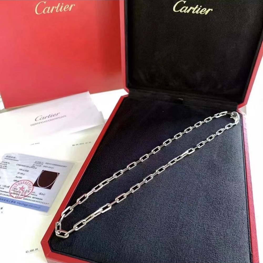 Cartier Men Santos De Cartier Necklace in White gold (2)