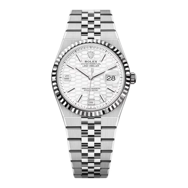 Rolex Men Land-Dweller 40mm in White and White Gold (1)