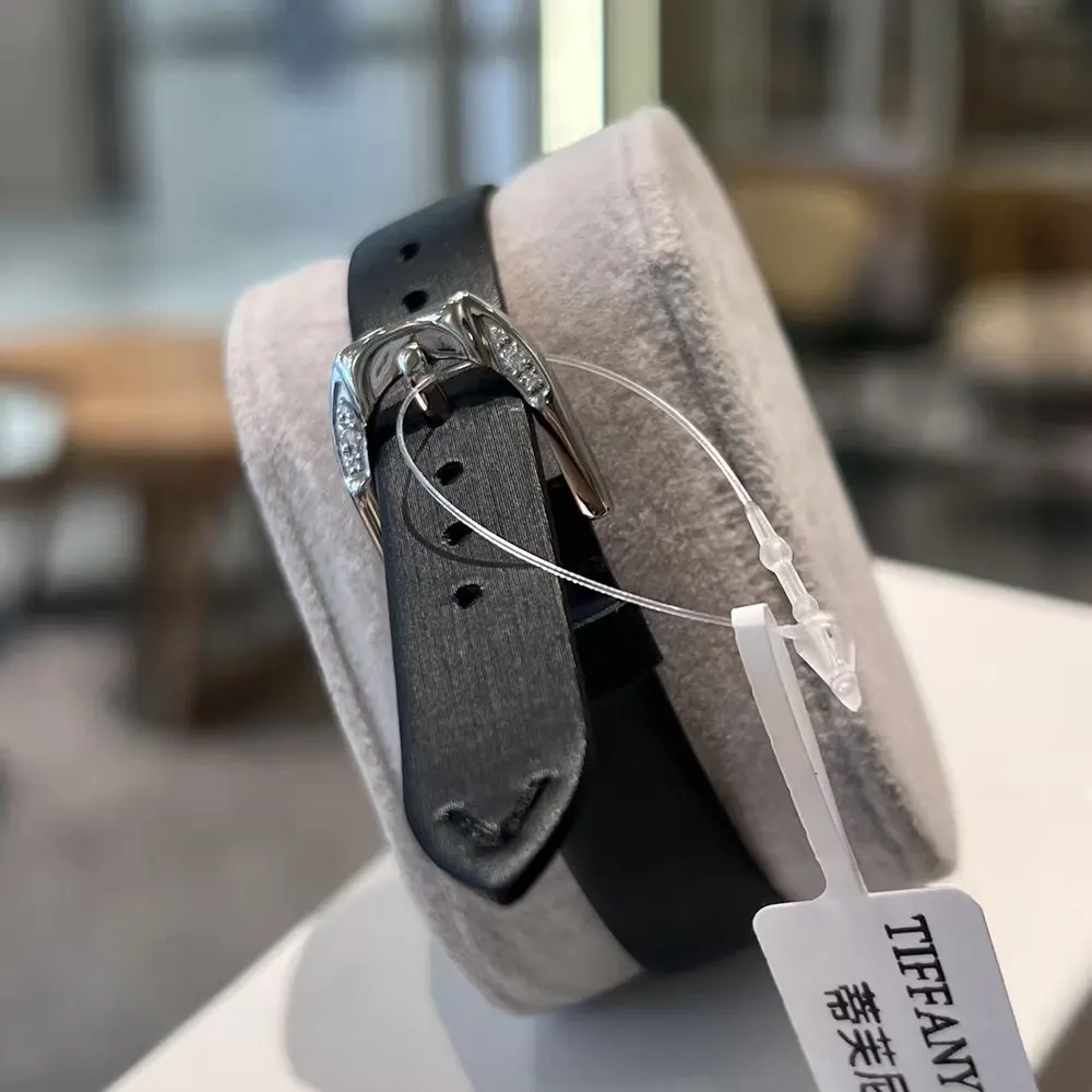 Tiffany Women Eternity 28 MM Cushion-shaped Watch in White Gold and Blue (10)