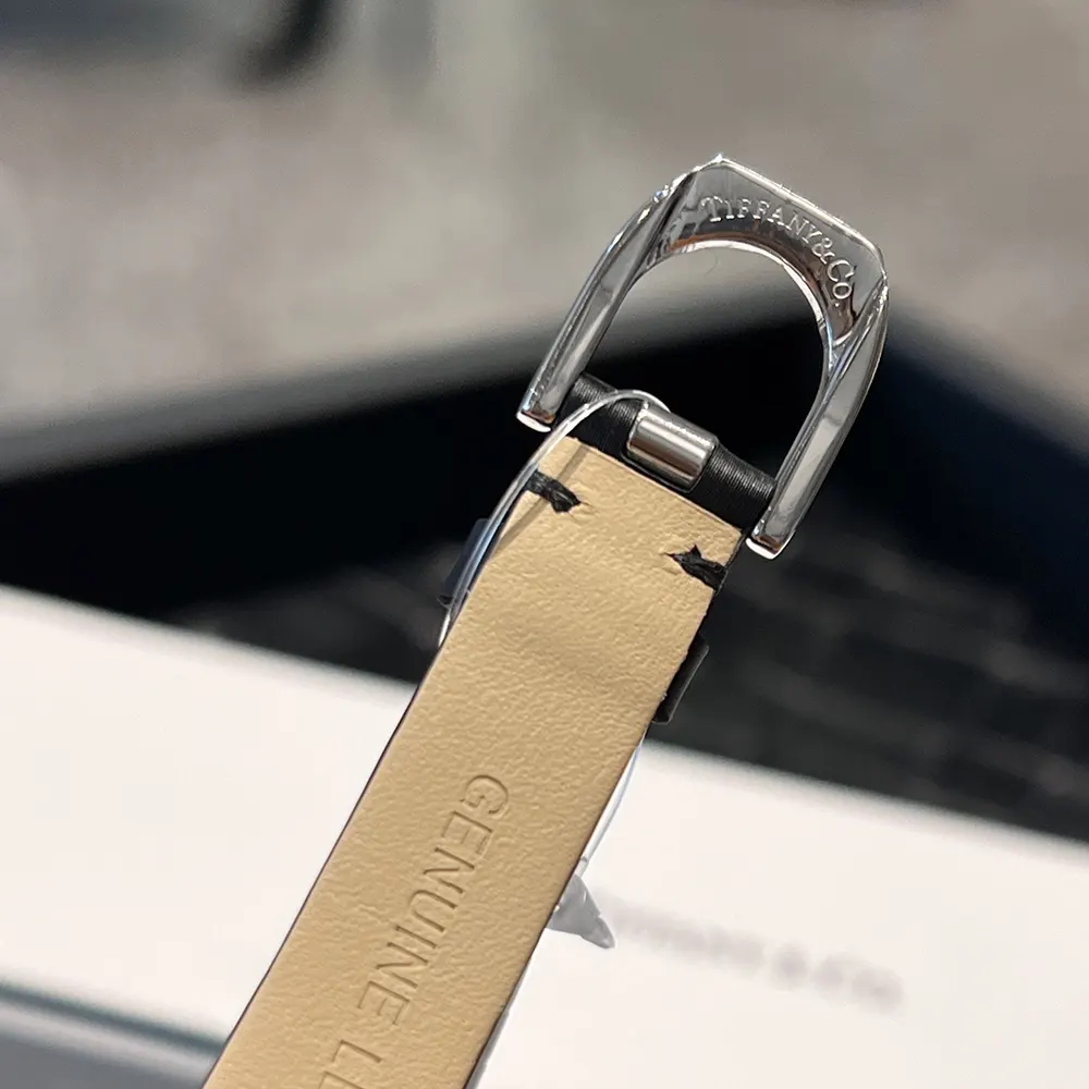 Tiffany Women Eternity 28 MM Cushion-shaped Watch in White Gold and Blue (9)