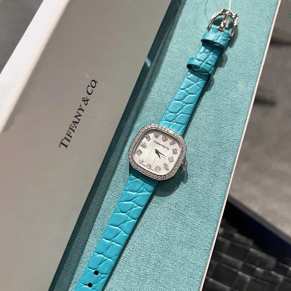 Tiffany Women Eternity 28 mm Cushion-shaped Watch in White Gold with Diamonds (3)