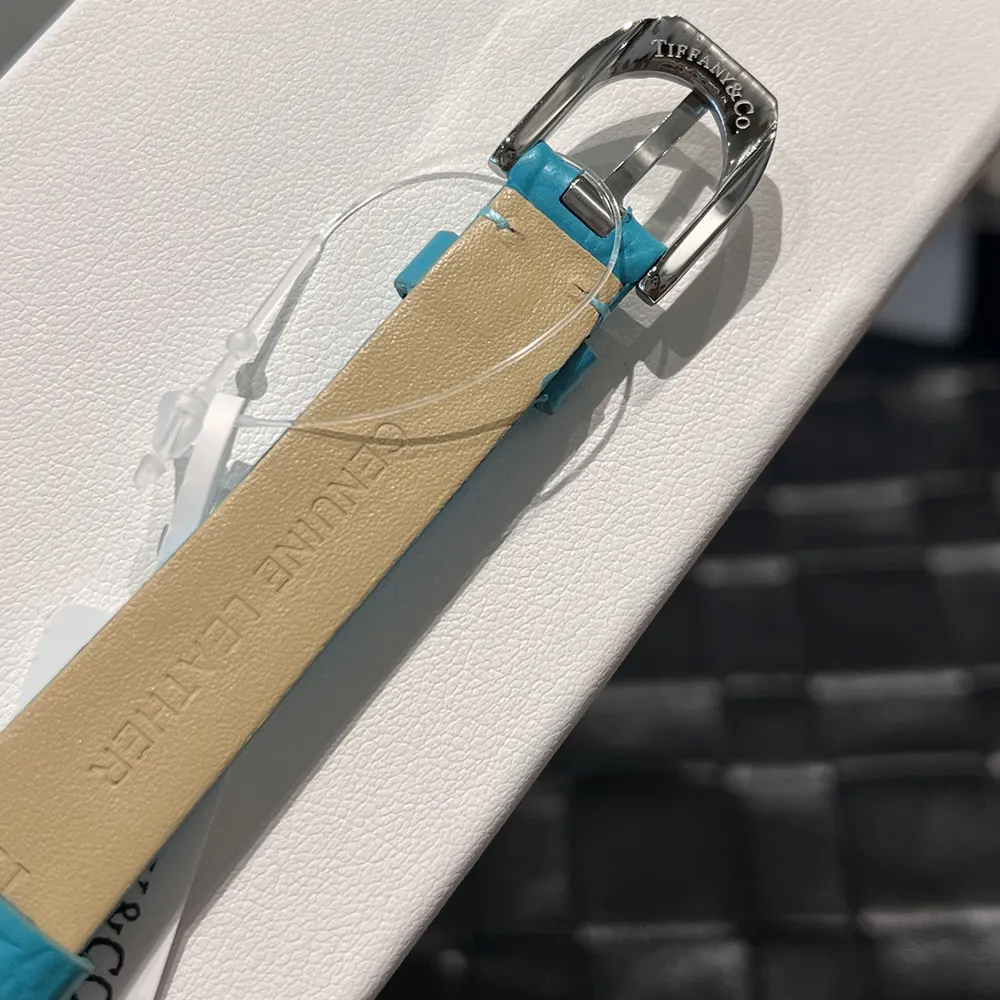 Tiffany Women Eternity 28 mm Cushion-shaped Watch in White Gold with Diamonds (9)