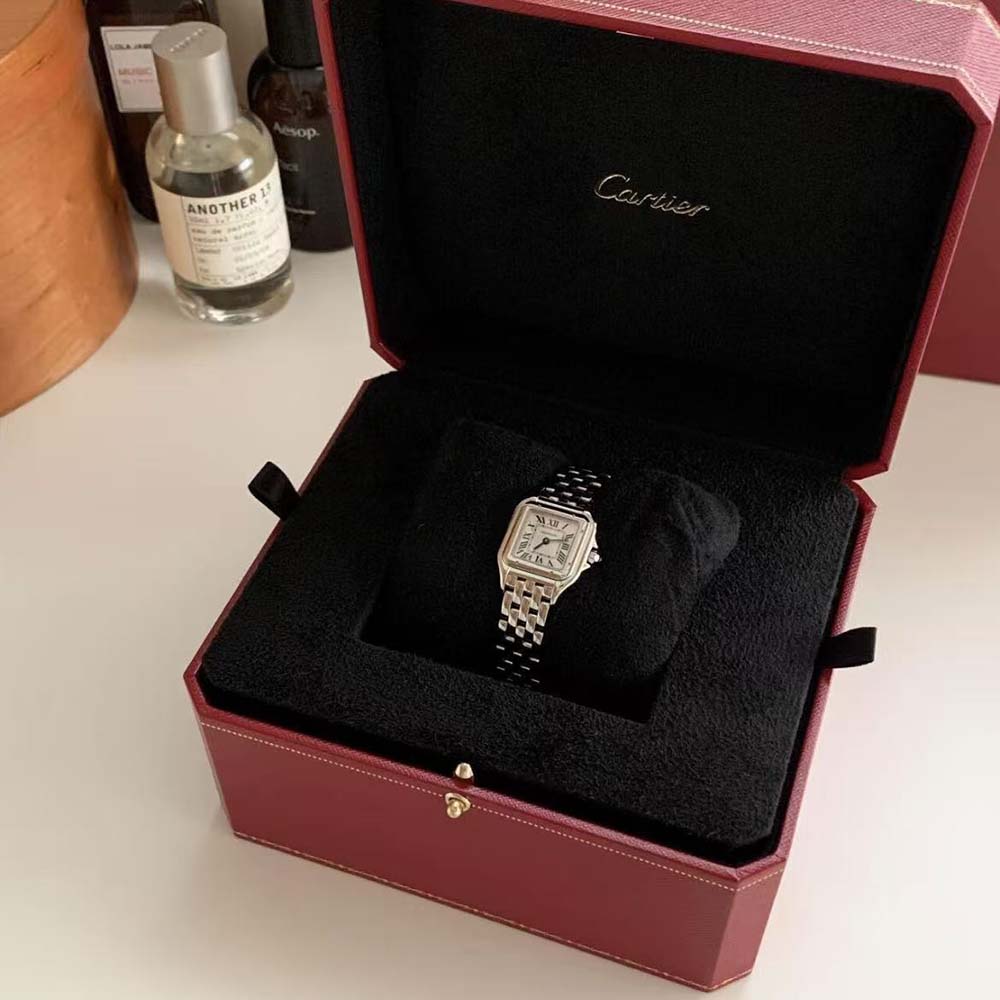 Cartier Panthere De Cartier Watch Mini Model Quartz Movement in Steel-Silver (5)