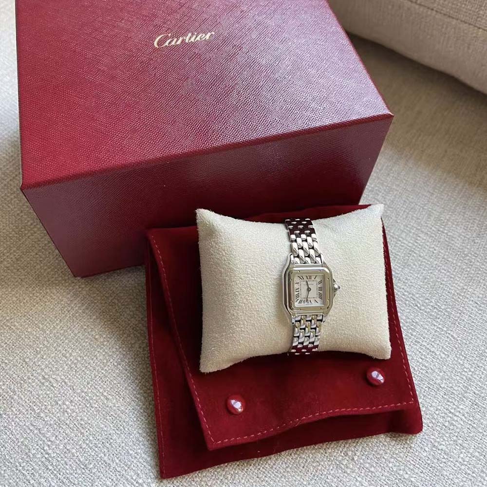 Cartier Panthere De Cartier Watch Small Model Quartz Movement in Steel-Silver (5)
