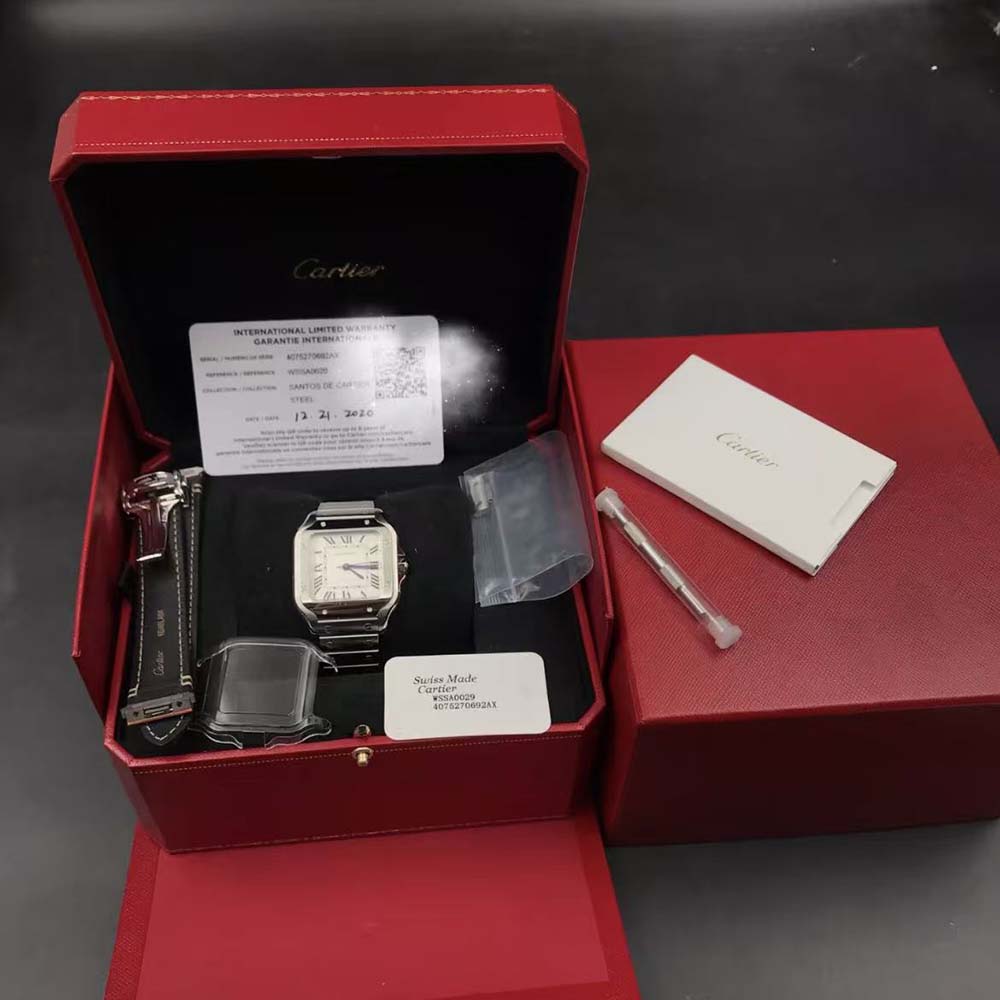 Cartier Santos De Cartier Watch Medium Model in Steel Case (2)